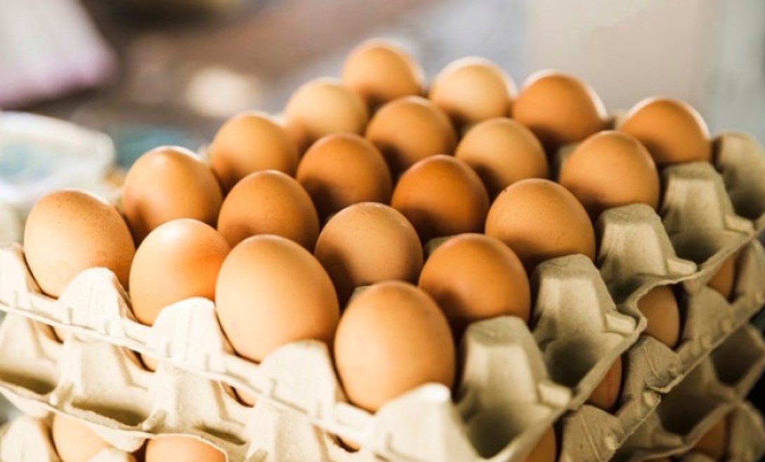 Ingat! 5 Kesalahan ini Sering Dilakukan Saat Mengolah Telur, Hati-Hati Nutrisinya Bisa Hilang