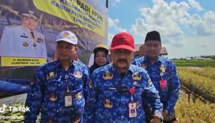 Hadiri Panen Padi, Titian Kayu Ambruk Diinjak DPKP Kalimantan Selatan