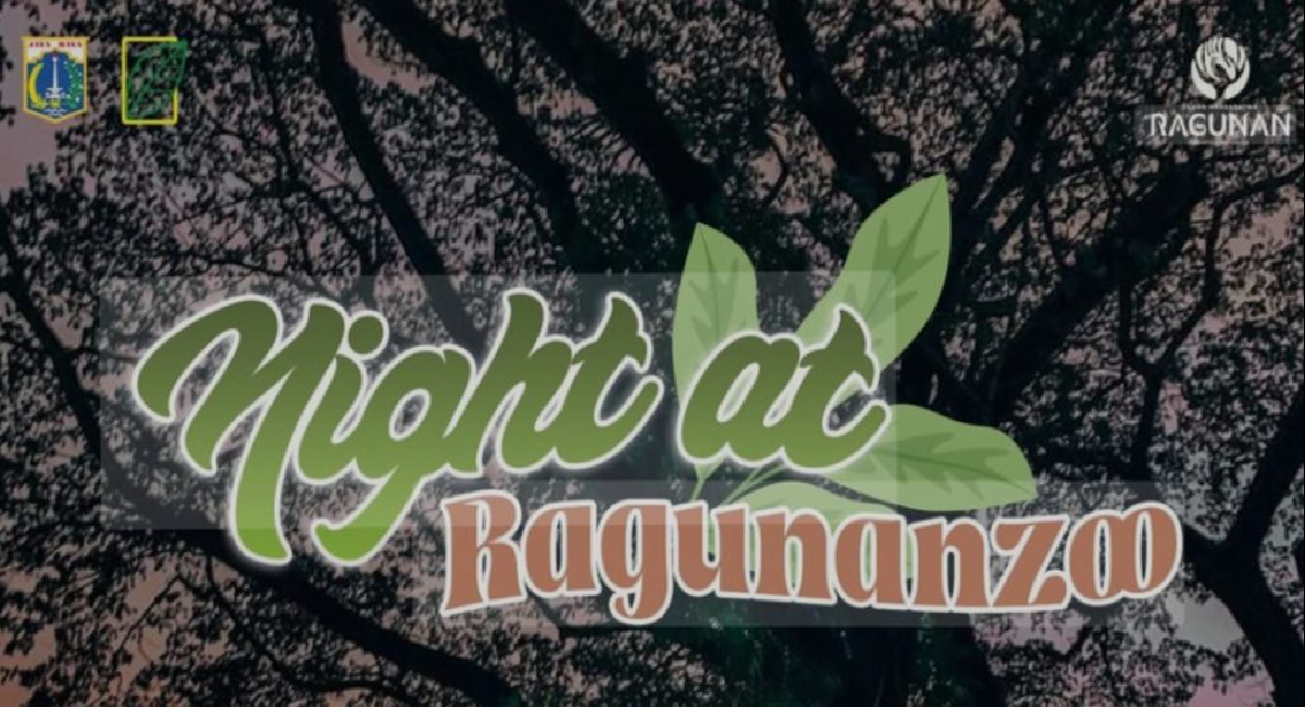 Sensasi Baru Wisata Malam! Ragunan Tawarkan Pengalaman Lihat Satwa Nokturnal Sambil Night Workout, Tiket Murah dan Penuh Kejutan!