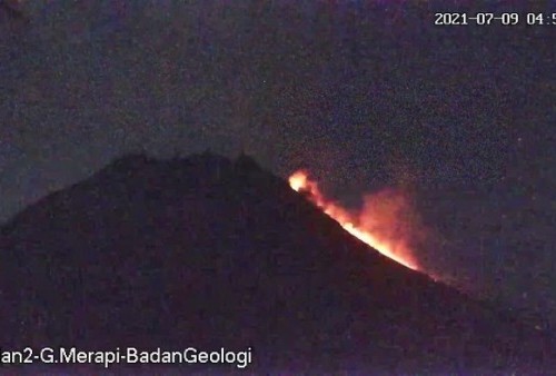 Waspada! Gunung Merapi Semburkan Wedus Gembel Hingga 1,1 km, BPPTKG: Awan Guguran Berlangsung Selama 83 Detik