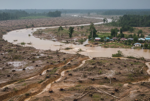 Sumatera dalam Bahaya: Bagaimana Perusakan Hutan dan Perubahan Iklim Meningkatkan Risiko Bencana