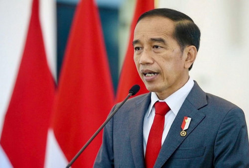 Yuk Intip Sedikit Pembahasan Jokowi Saat 7 Pertemuan Bilateral di KTT G7