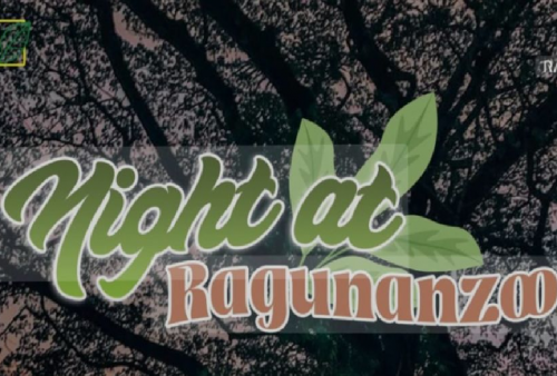 Sensasi Baru Wisata Malam! Ragunan Tawarkan Pengalaman Lihat Satwa Nokturnal Sambil Night Workout, Tiket Murah dan Penuh Kejutan!